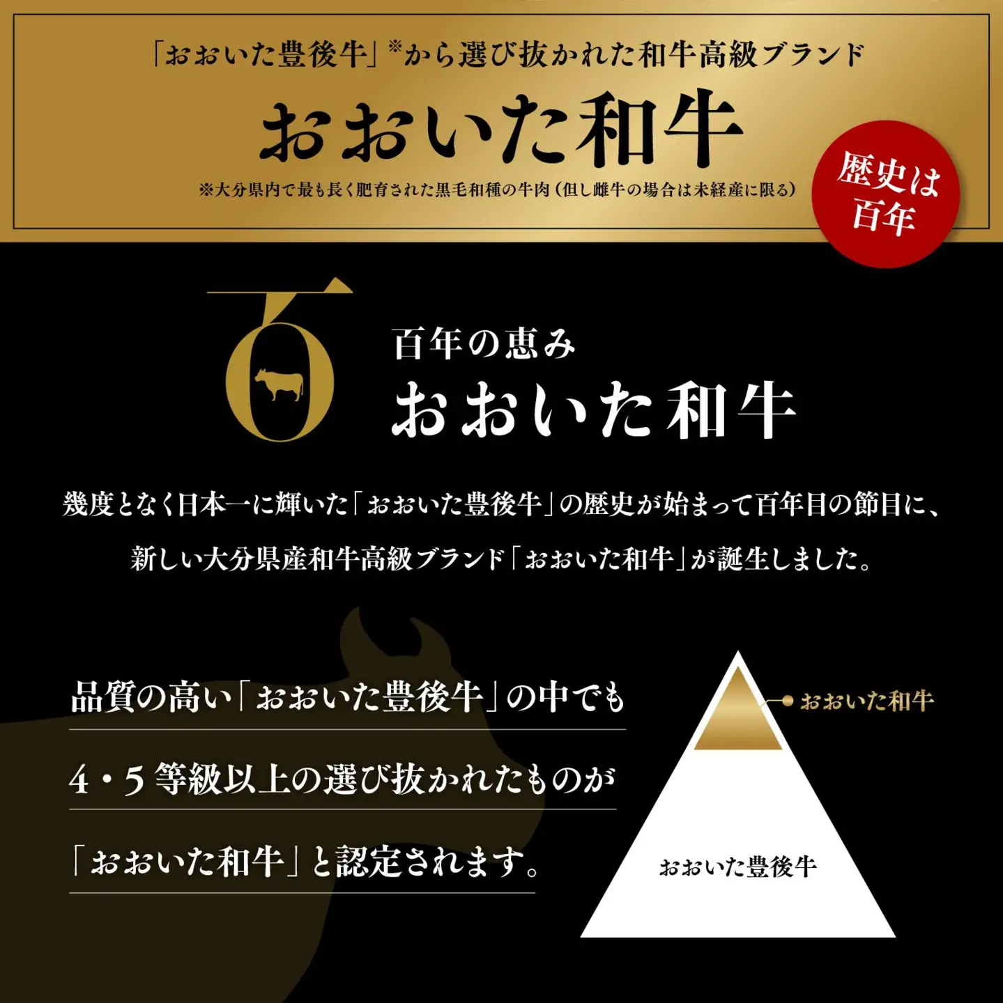 和牛ハンバーグ＆大分県産黒毛和牛すきやき肉(500g)セット