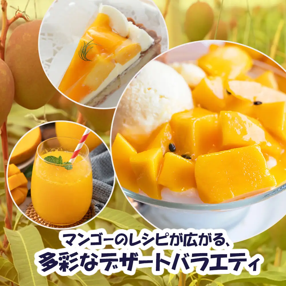 【2027年発送】直売所で厳選 沖縄県産「完熟マンゴー」2kg