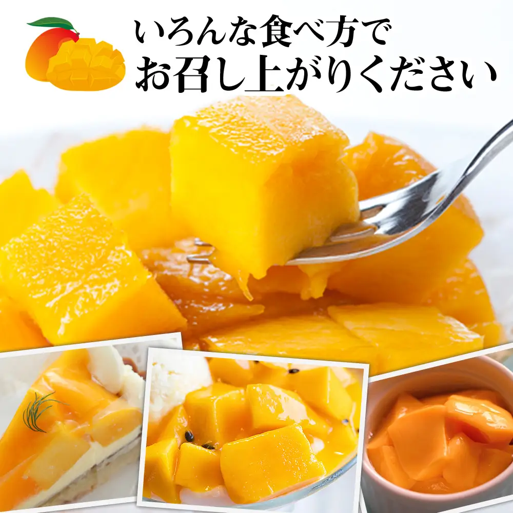 【2027年発送】生産組合が育てる南風原の味 神里マンゴー1kg