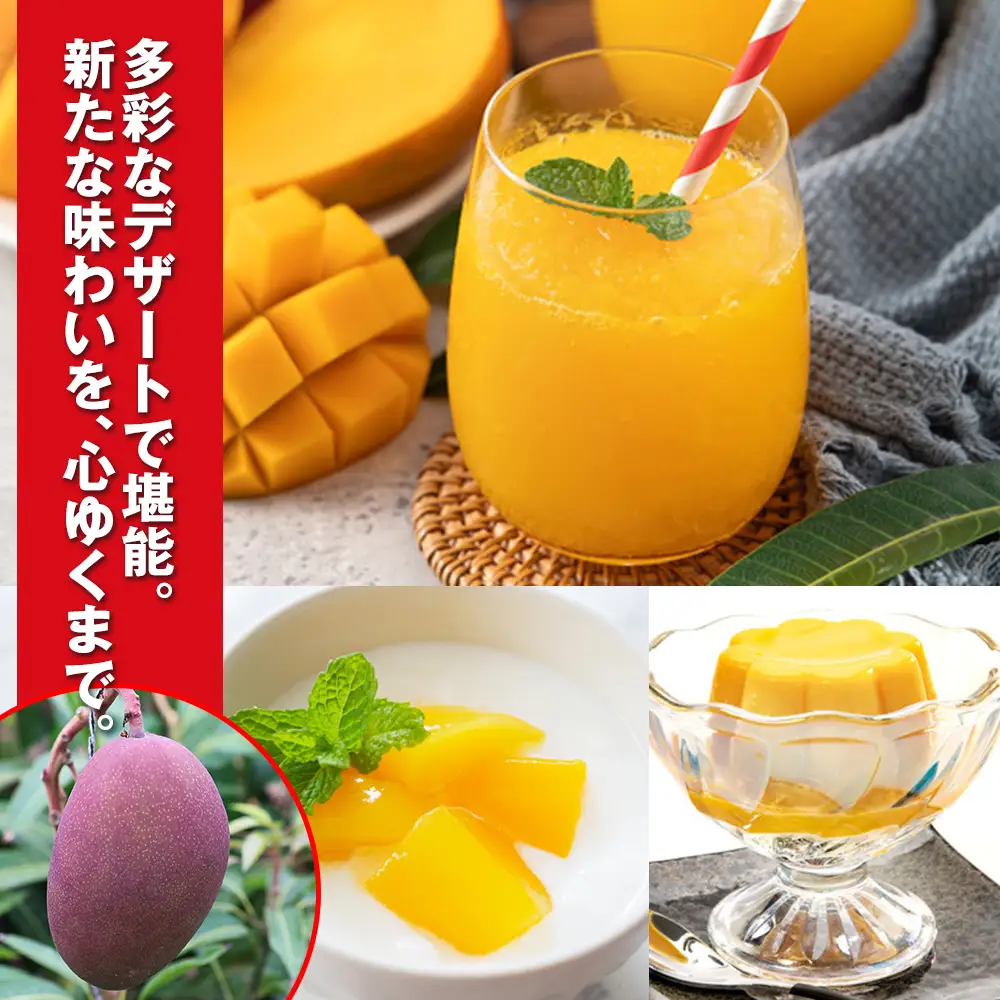 【2027年発送】濃厚な甘さ！とろける食感！沖縄県産マンゴー1kg