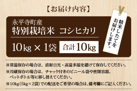 【先行予約】【白米】令和7年度産 永平寺町産 農薬不使用・化学肥料不使用 特別栽培米 コシヒカリ 10kg【10月上旬より順次発送開始予定】１０キロ 10kg 米  米 お米 コメ 送料無料 こしひかり 福井