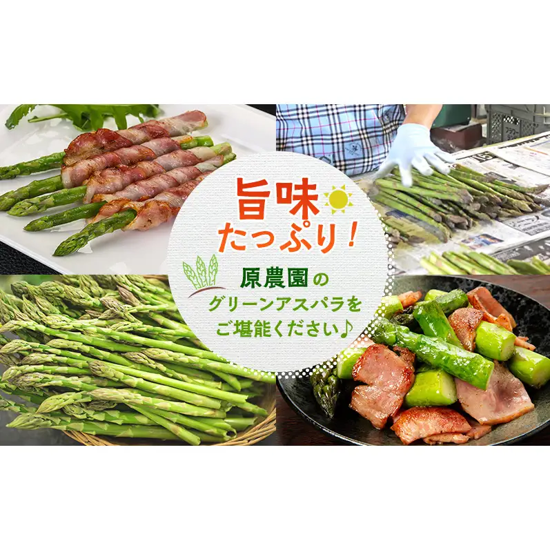 【令和8年産】アスパラガス グリーンアスパラ 2kg L～2L 原農園