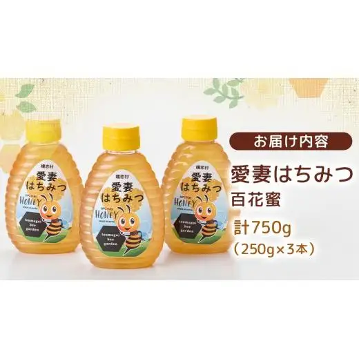 愛妻はちみつ（百花）250g 3個セット [AC002tu]