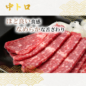 馬刺しセット 熊本 大トロ 中トロ 上赤身 コウネ 4種 馬刺しセット【1700g】【冷凍】