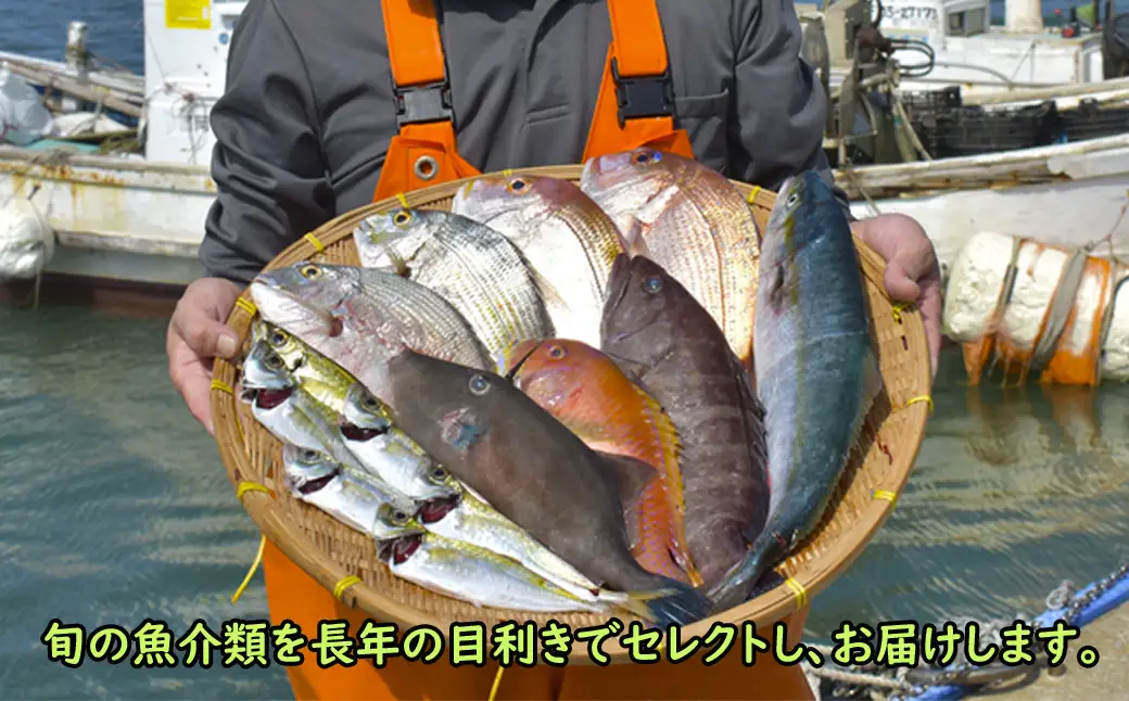 【年10回】福津の旬の魚介類こだわり定期便【随時開始】[H7017]
