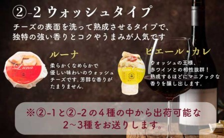 酪農館　チーズセット　チーズ 6個 生ハム 100g nr-0196