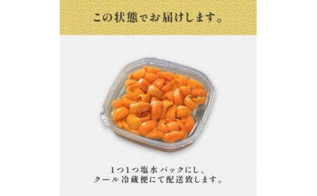 無添加　極上エゾバフンウニ塩水パック100g A 23年6月上旬～8月中旬迄