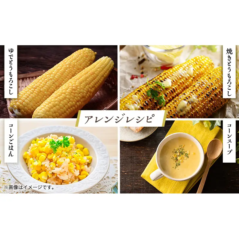 とうもろこし ゴールドラッシュ【Lサイズ10本】【先行予約】