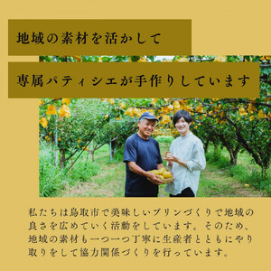 プリン専門店Totto PURIN プリン食べ比べ12個セット