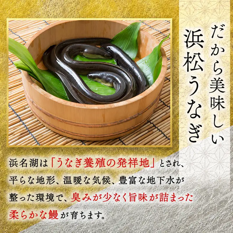 食事券 うなぎ 浜松 24店舗 9000円 レストラン 補助 食事券