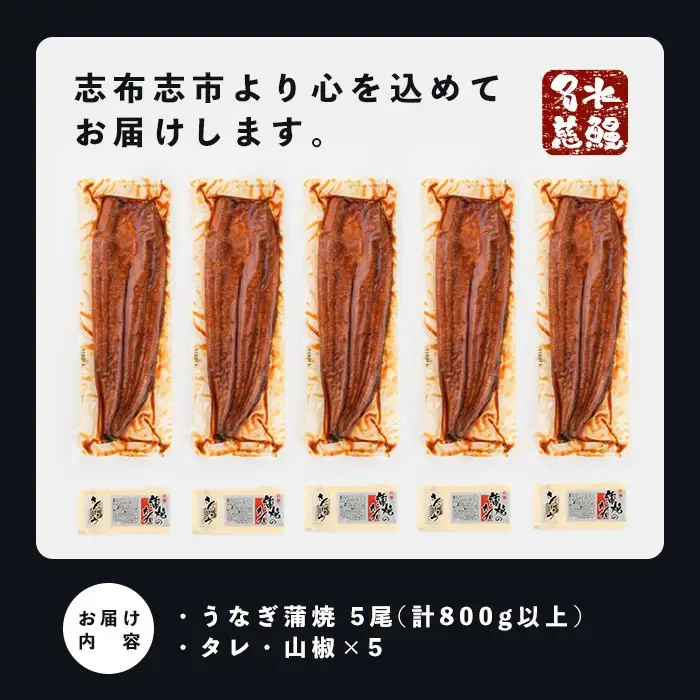 うなぎ 国産 蒲焼 名水慈鰻 5尾（800g) うなぎセット b8-043