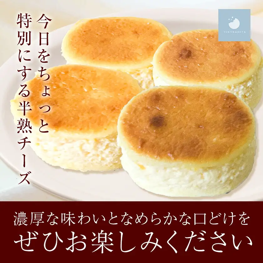 半熟チーズケーキ 計20個(10個×2箱) こだわり半熟チーズ 菓心 徳丸屋《30日以内に出荷予定(土日祝除く)》