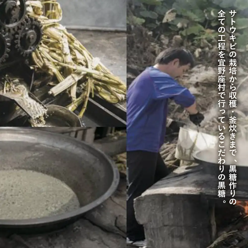 渡久地さんの愛情たっぷり「宜野座の純黒糖」 100g×5袋