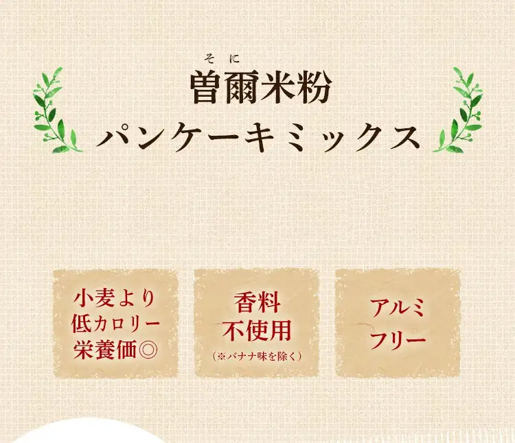 米粉パンケーキミックス　10個　セット　米粉　パンケーキ　パンケーキミックス テッパン返礼品