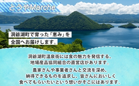 洞爺湖町産 黄金のわかさぎ 18尾×4P 計72尾 12月以降順次出荷 北海道産 ワカサギ わかさぎ 川魚 魚介類 産地直送 冷凍 お取り寄せ グルメ 料理 天ぷら フライ とうやマルシェ 北海道 洞爺湖町