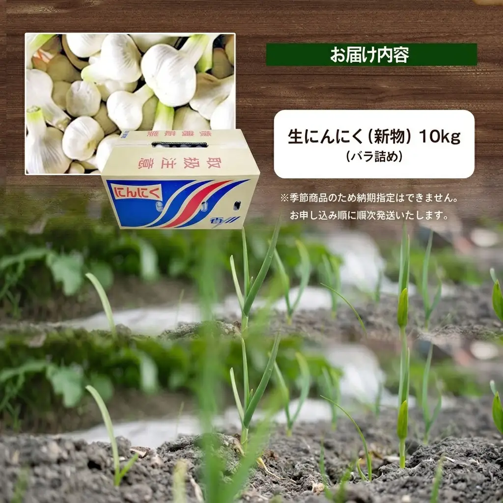 にんにく 生 香味野菜 五色青果 にんにく【約10kg バラ詰め】 【46312208】