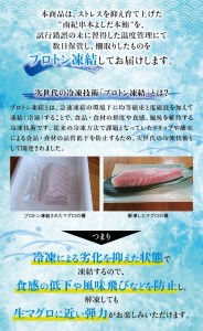 本マグロ 大とろ 200g サク 「プレミア和歌山認定」  和歌山県でも指折りの好漁場で養殖された本鮪です！  南紀串本よしだ本鮪【mhs103A】