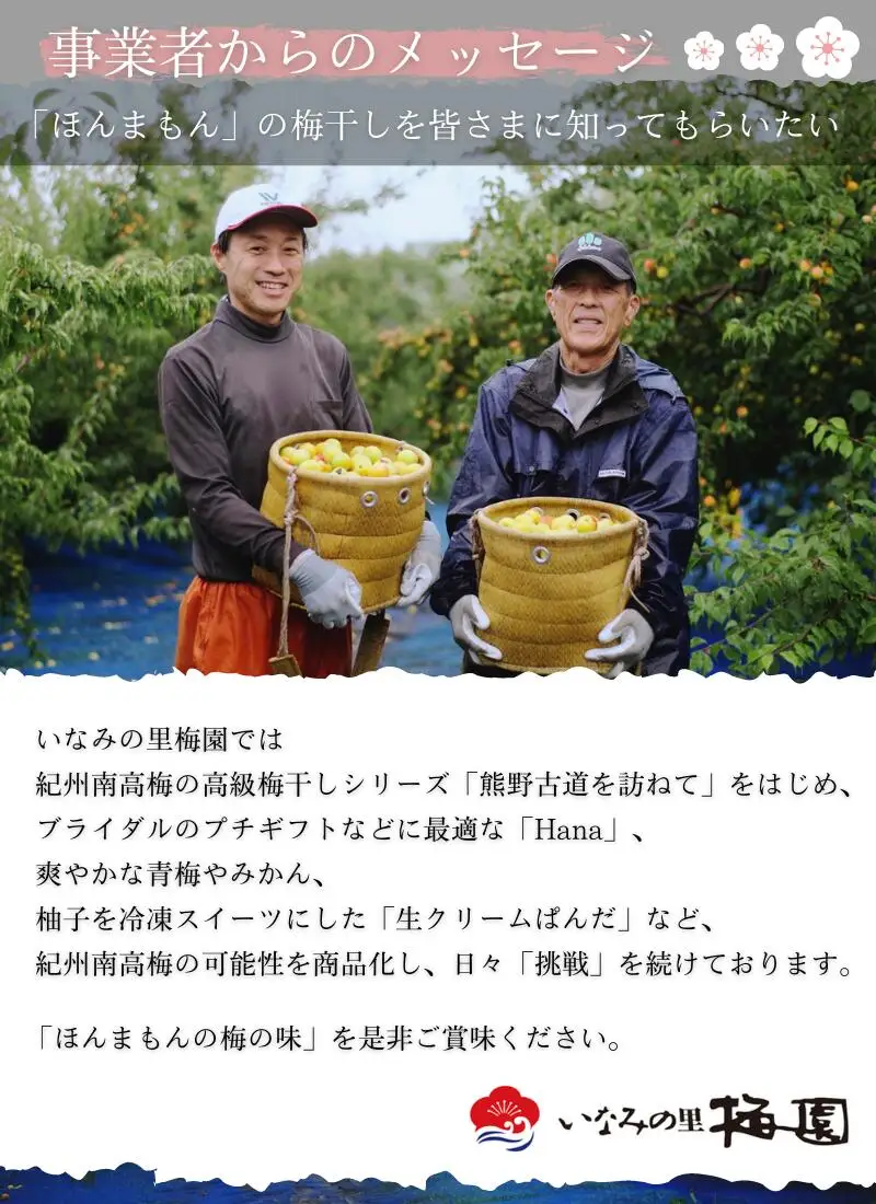 梅干し 紀州南高梅干し 大粒 食べ比べセット 700g×2（はちみつ・こんぶ風味）【inm800-9C】