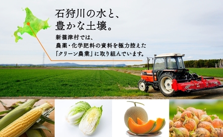 北海道 新しのつ産 玉ねぎ Lサイズ 約20kg オホーツク222 北もみじ2000 玉葱 たまねぎ オニオン 旬 スープ サラダ 農作物 野菜 冬野菜 根菜 常温 カレー 肉じゃが 大きい 5キロ 国産 北海道産 長期保存