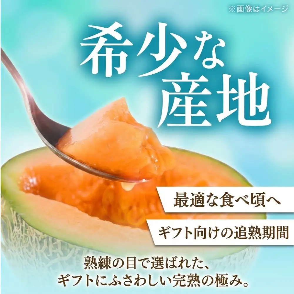 メロン ＜数量限定＞ おいわけメロン 糖度16度以上 1.7kg以上×3玉 赤肉 北海道 安平町産 【1000244】