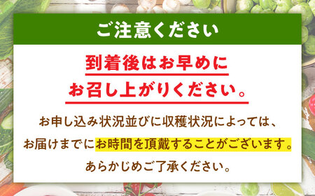 レンコン（泥付き）2.5kg【1月上旬から順次発送】レンコン [AGBN021]