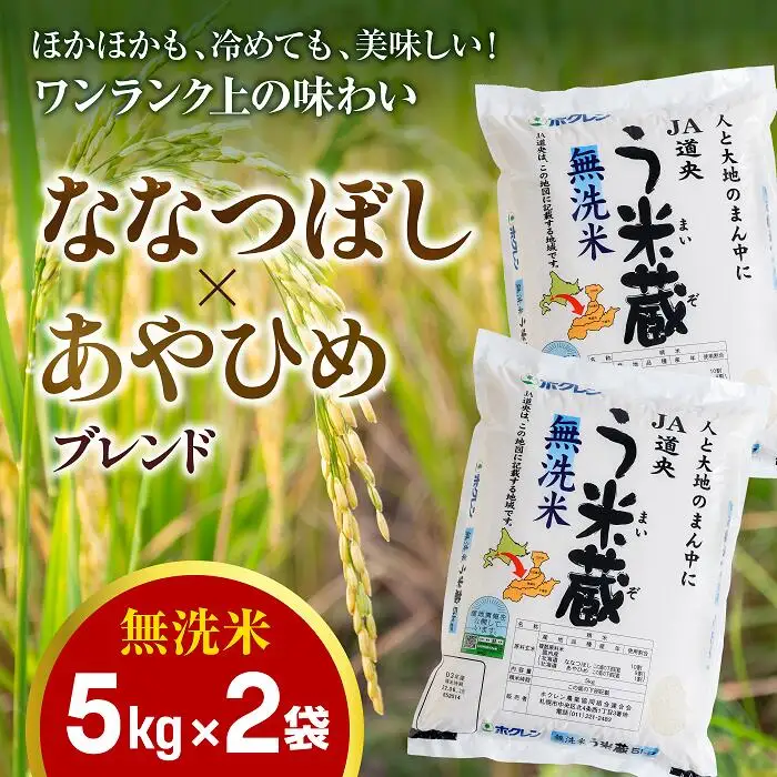 【無洗米】北海道米う米蔵5kg×2（計10kg）【29002304】