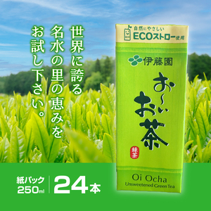 おーいお茶　250ml　24本　伊藤園　紙パック [h132]