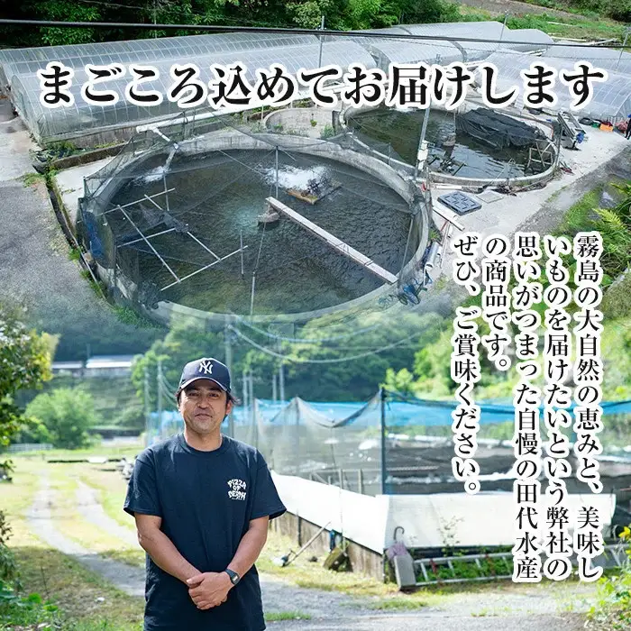 B0-160 数量限定！霧島うなぎ蒲焼きと霧島アユ子持ち甘露煮詰め合わせ(計4点)【田代水産】