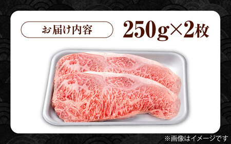 佐賀県産 黒毛和牛 サーロインステーキ 500g ステーキ [IAG016]