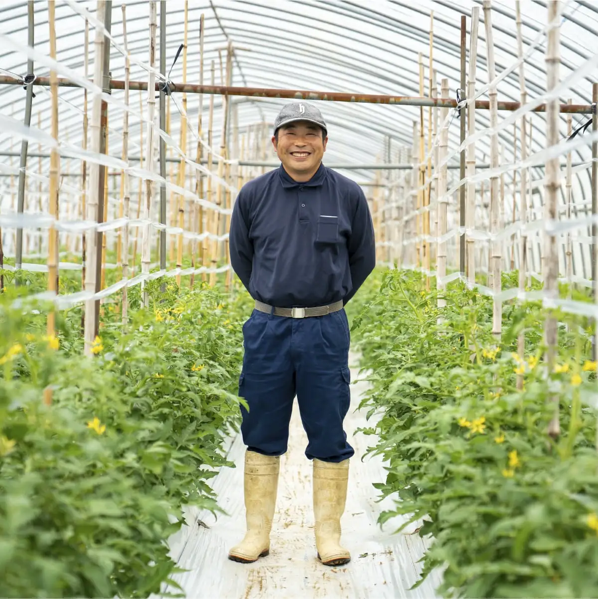 トマトカレー８箱セット トマト カレー レトルト 8食 おうちご飯 高千穂町産 国産 宮崎県 高千穂町 _Tk004-037