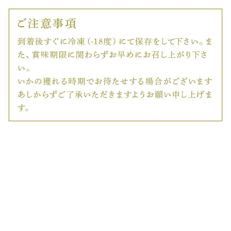 呼子のいか活造り1杯といかネギ天 25g×12個(合計300g)
