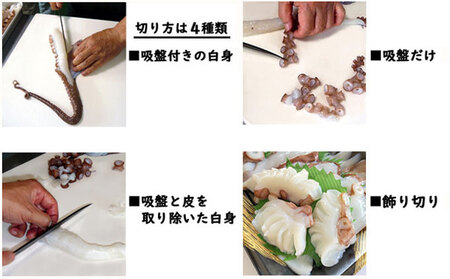 明石ダコのたこしゃぶ 6人前 タコ 魚貝類 加工食品 