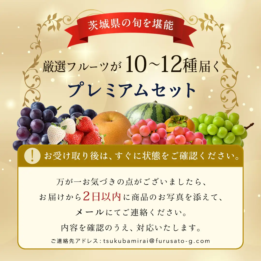 【化粧箱入り2段】厳選フルーツ 10〜12種プレミアムセット（茨城県共通返礼品） 旬の果物 ギフト