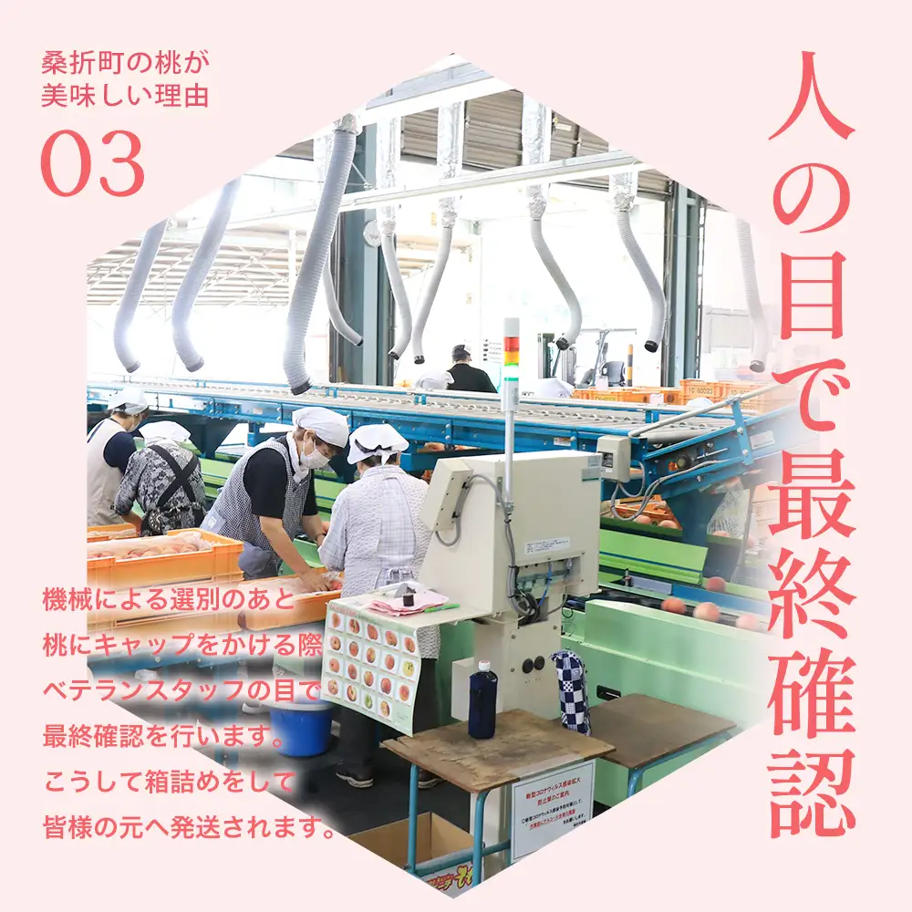 もも【まどか・2026年産】特秀　3kg　桑折町産　JAふくしま未来　桃　献上桃の郷　【07301-0097】