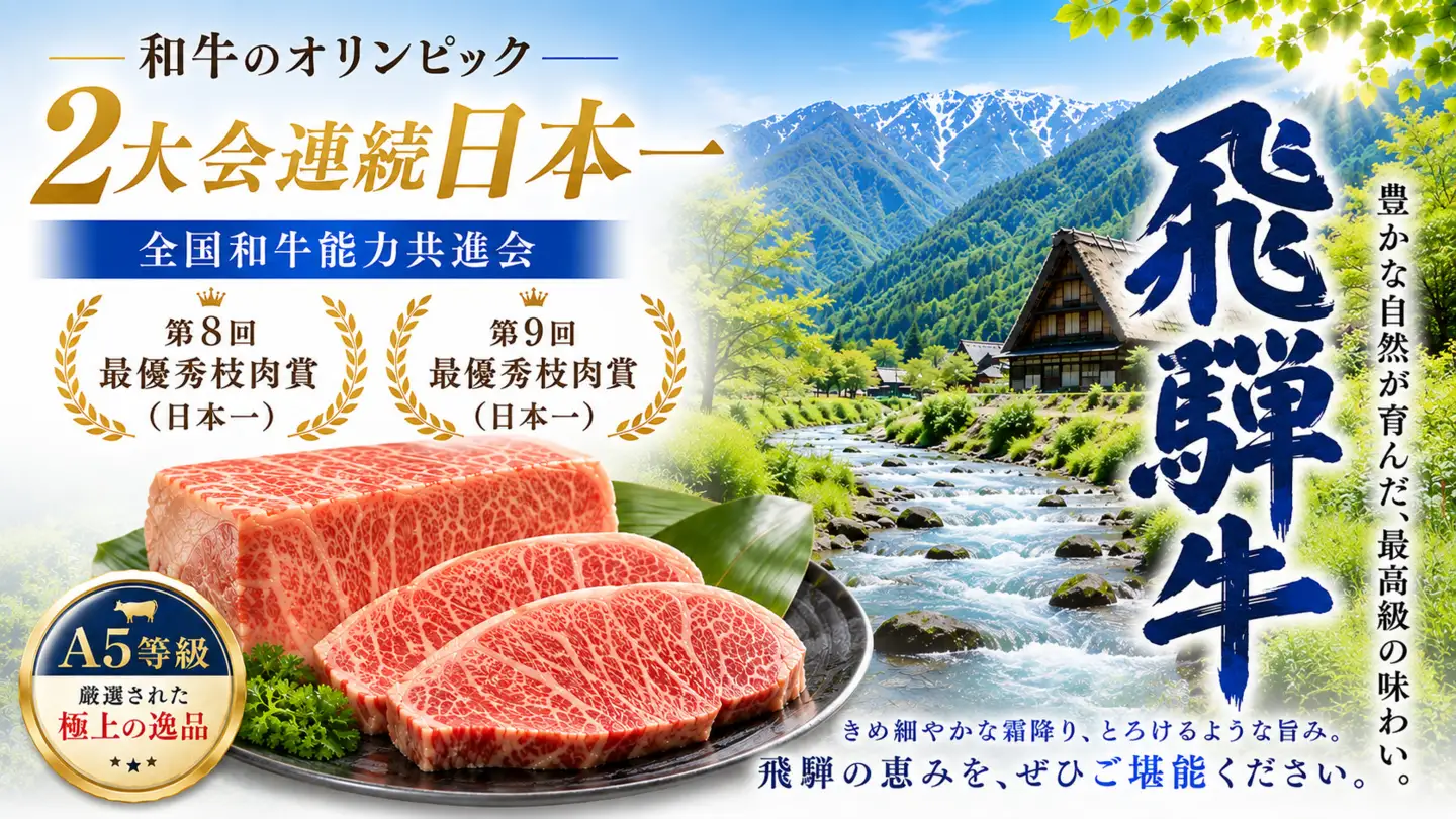店主こだわり雌牛 飛騨牛A5等級　ロース　すき焼き用　約500g [No.040]