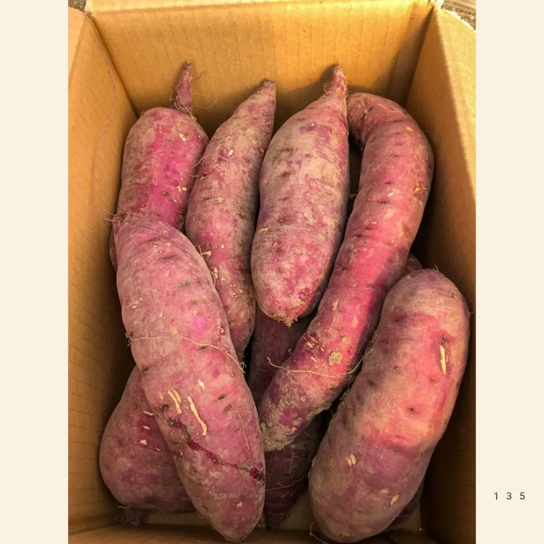 蜜がしたたる北海道産さつまいも「紅はるか」6kg