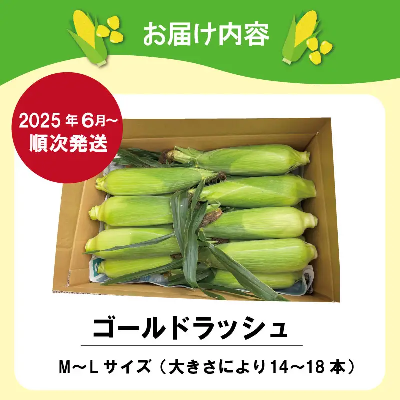 北山さんちの新鮮 とうもろこし キャンプ BBQ 人気 トウモロコシ 生 野菜 産地直送 朝どれ 甘い 期間限定 国産 旬 夏野菜 kn2