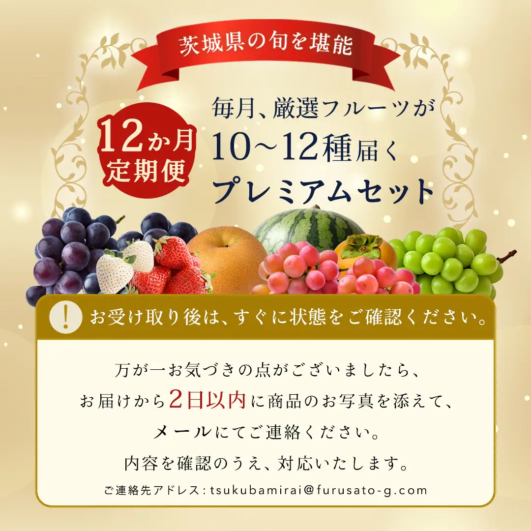 定期便【化粧箱入り2段】厳選フルーツ10〜12種プレミアムセット【毎月1回1年コース(計12回)】（茨城県共通返礼品） 旬の果物 ギフト