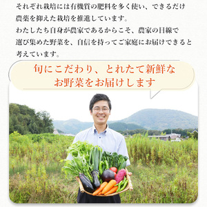 【12回定期便】野菜 黒毛和牛＆京野菜詰合せ