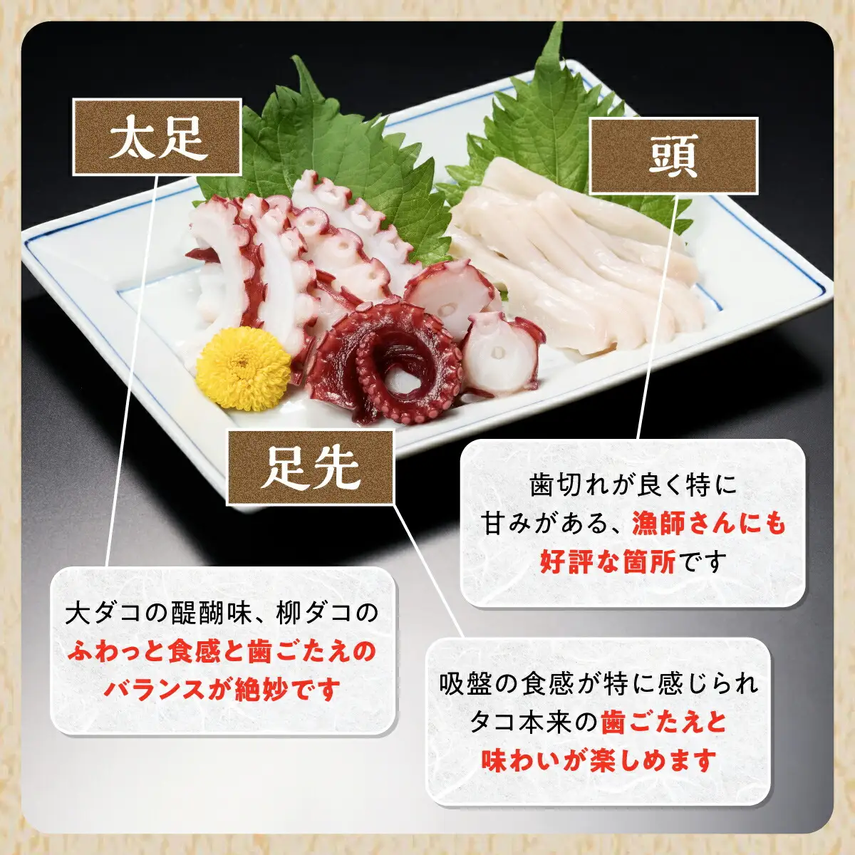 ＼高評価 4.8／ 北海道旨味たこ【1.0kg以上×1杯】_I014-0508