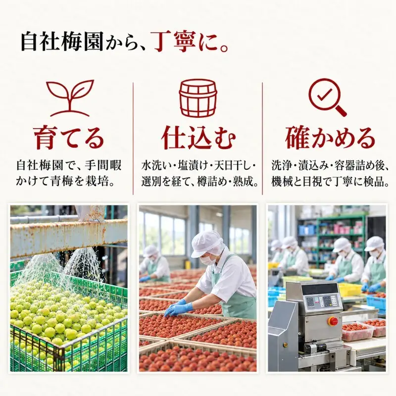 しそ漬福梅ぼし約650g[高島屋選定品］ 梅干し 