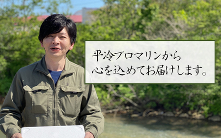 【訳あり】 ひとくちカット明太子 1.2kg （400g×3p)  切れ子 小分け  訳あり明太子 切子 めんたいこ 国内加工 明太子 小分けで便利 おいしい 一口サイズ 食べやすい