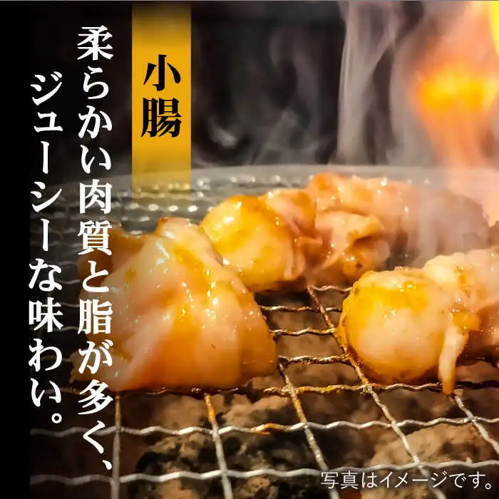 【味付】【大容量】ホルモン専門店の豪華！焼き肉5種セット計2kg（和牛ハラミ800g ／ 豚ハラミ・丸腸・小腸・シマ腸 各300g）【三田川ホルモン専門店】 [FAC016]