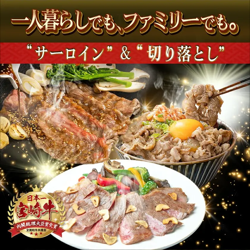 【元気モリモリ福袋】宮崎牛切り落とし・鉄板焼き用サーロイン2枚セット〔AE-2501〕_(都城市) A4 4等級 牛肉 牛バラ切り落とし肉 牛ウデ・牛モモ切り落とし肉 各500g