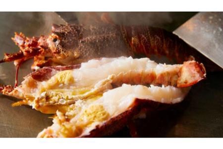紹介制鉄板焼 つきじ よつは 特産品貸し切りディナーコース 3名様（寄附申込月の翌月から6ヶ月間有効・30組限定） ふるなび美食体験 FN-Gourmet343648