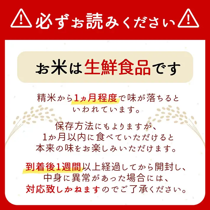 特A 山形県産 雪若丸 無洗米 10kg 5kg×2袋 令和7年産 2025年産 ブランド米 米 国産 単一原料米 山形 庄内平野