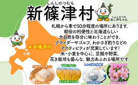 日本酒純米酒大法螺 彗星使用 新篠津村産日本酒【720ml2本】