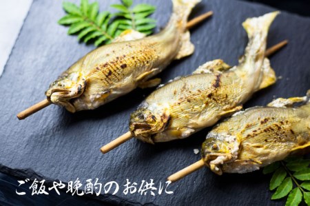 鮎の塩焼き 4尾 鮎 飛騨市 [CA008]