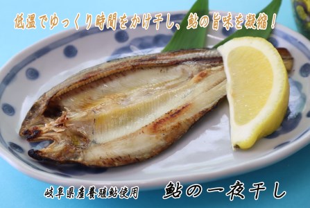 鮎の塩焼き 鮎の一夜干しセット 岐阜県産 [CA009]