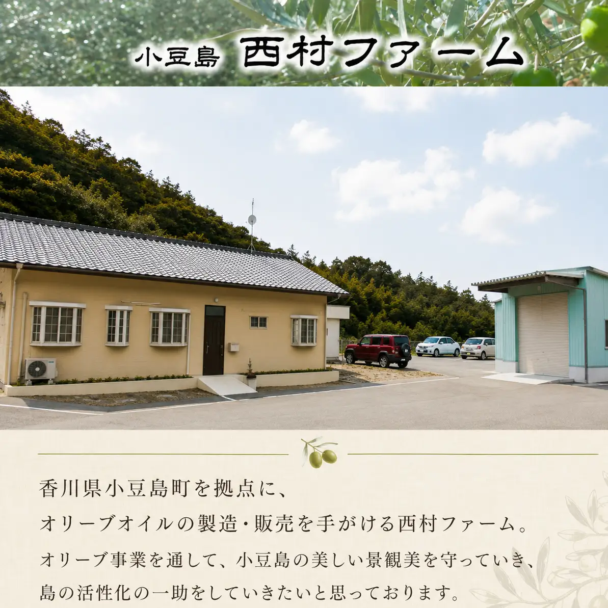 【 小豆島 】 エキストラバージン オリーブオイル 200ml 5本 セット ギフト 贈答用 詰め合わせ 食用油 パスタ サラダ ドレッシング 揚げ物 調味料 スペイン 土庄町